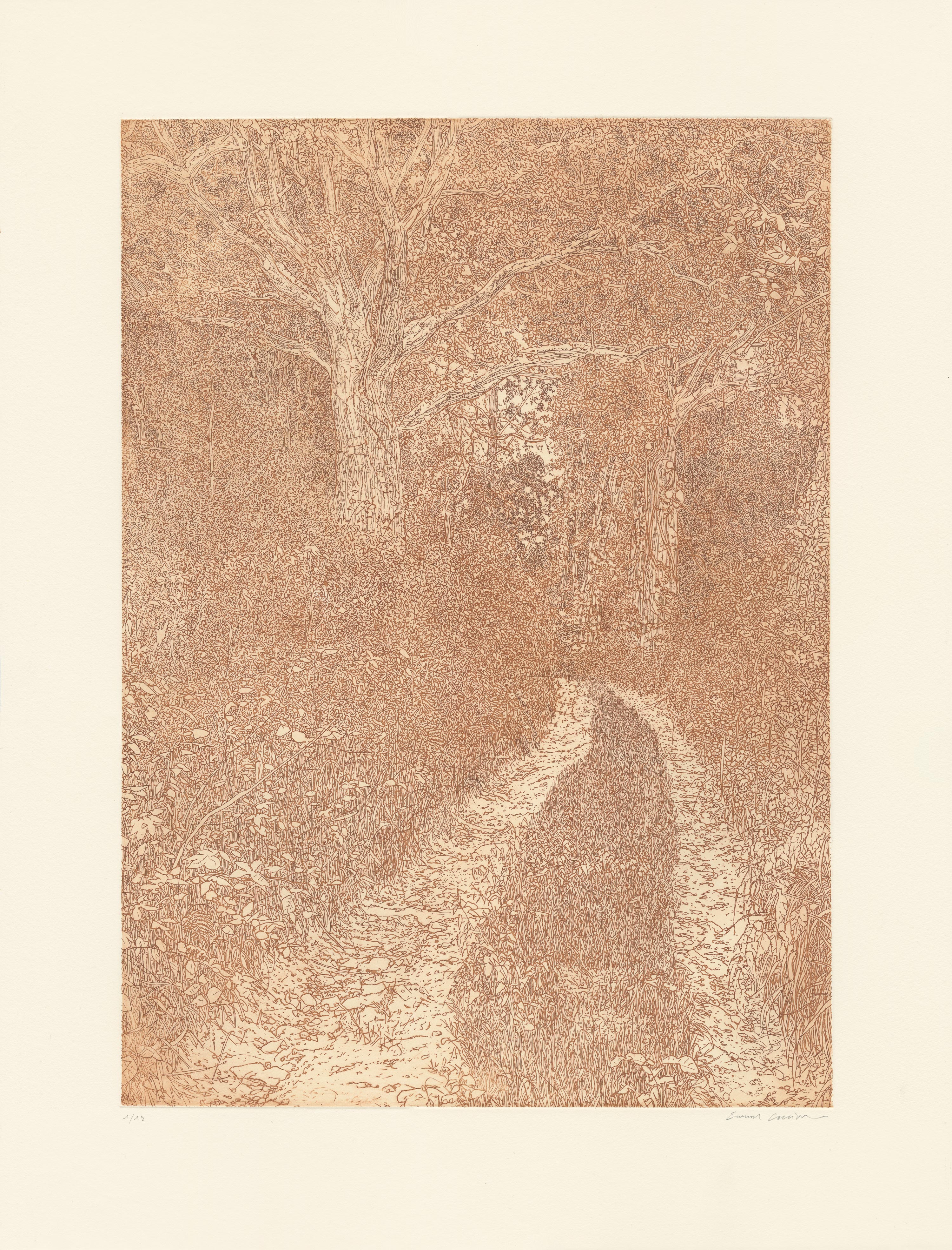 Emmanuel  GUIBERT - DERRIRE CHEZ BRAQUE - terre de Sienne, 2024