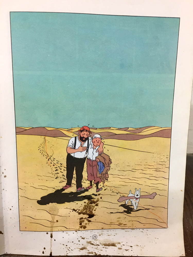 BLUTCH - Le Pays de la Soif, 2017 - 