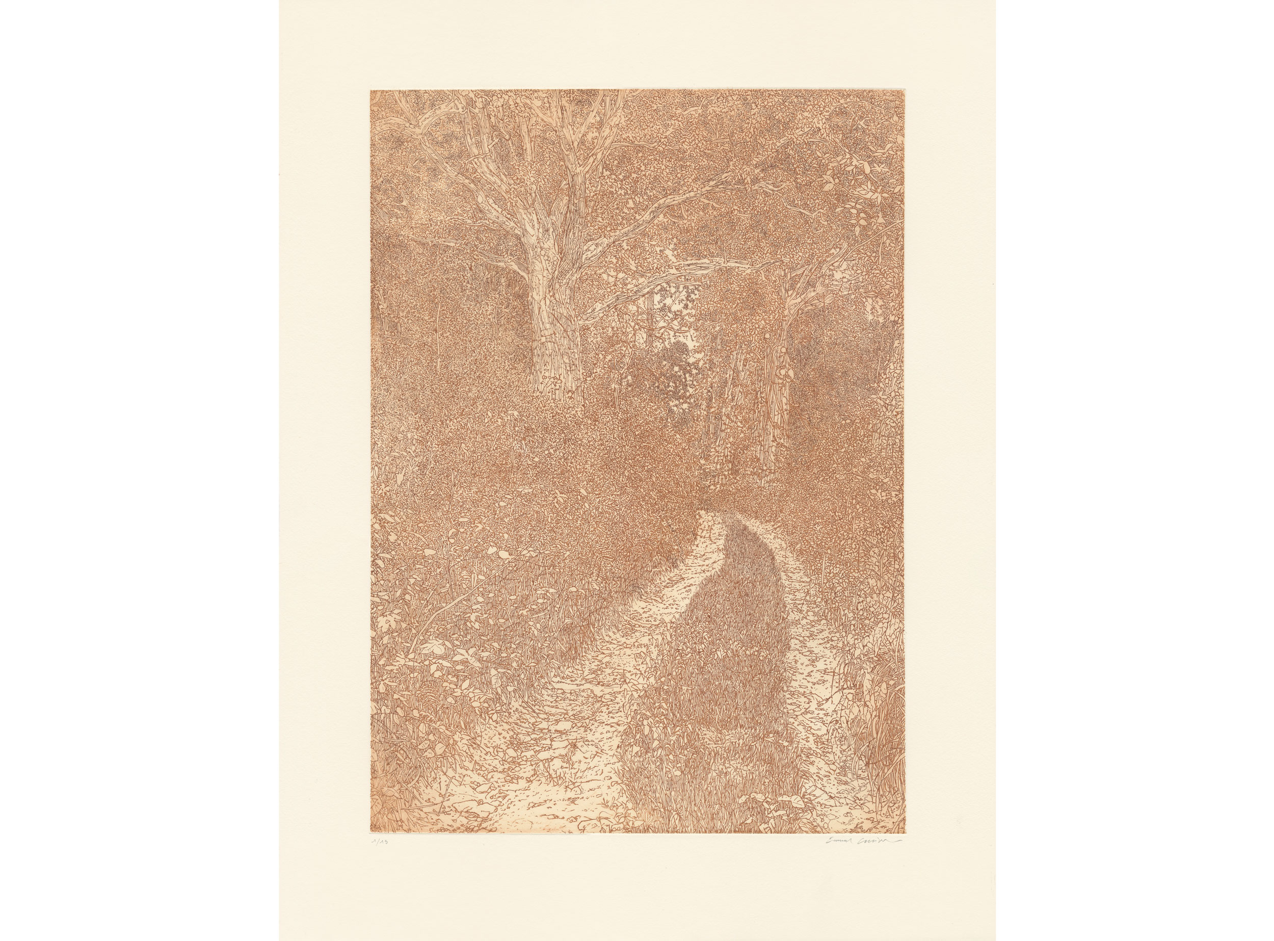 Emmanuel  GUIBERT - DERRIRE CHEZ BRAQUE - terre de Sienne, 2024