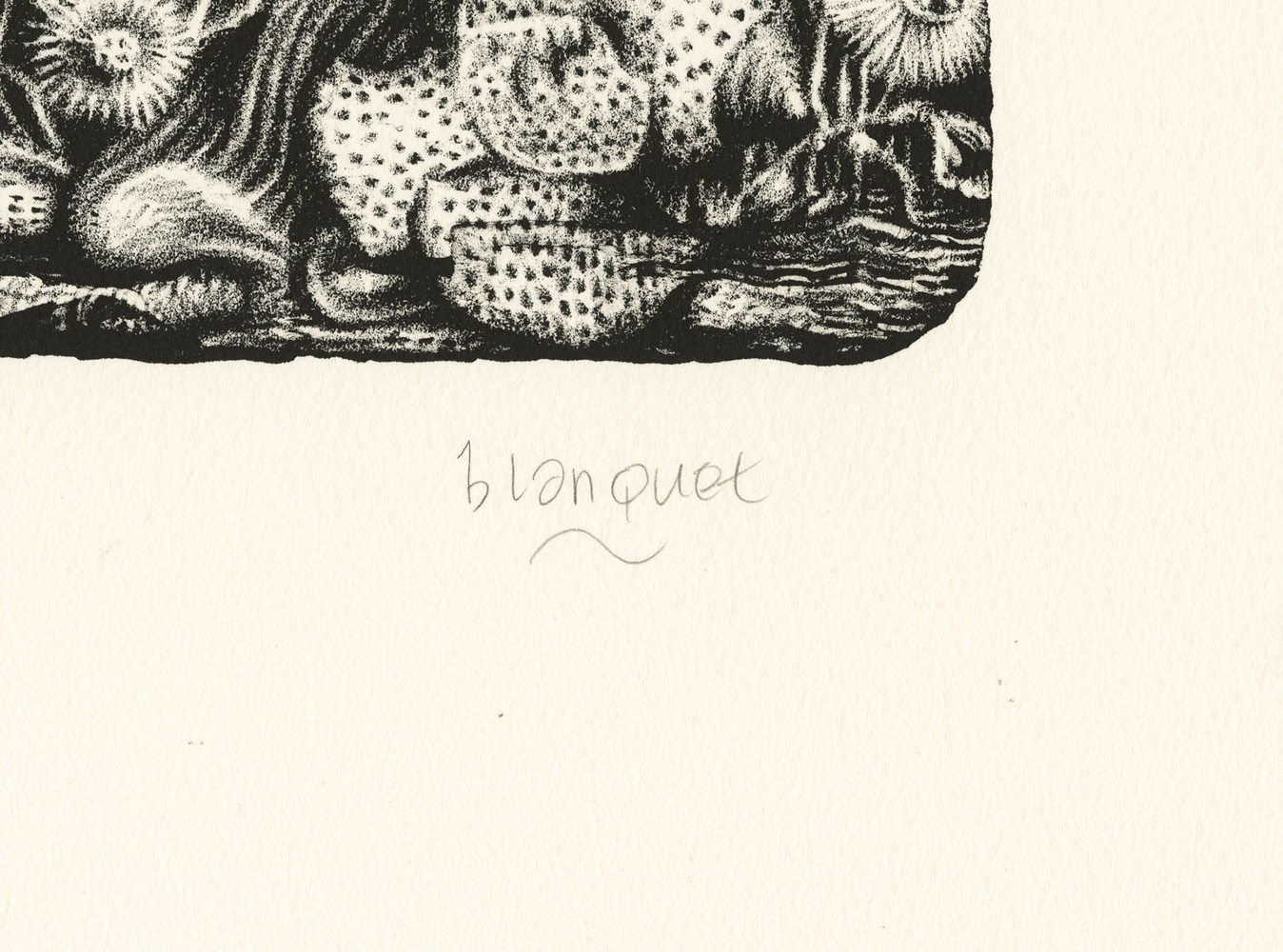 Stéphane BLANQUET - Majesté Furtive, 2016 -  Estampe signée par l'artiste